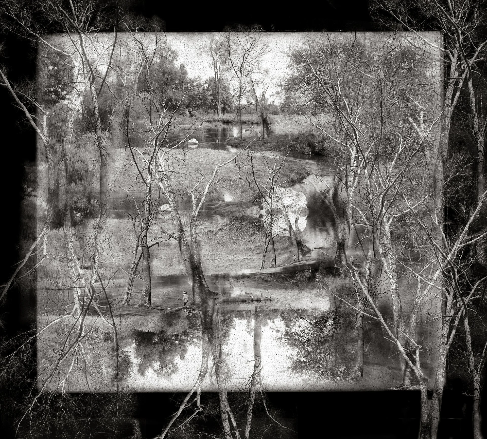 Pippi Miller
Riverbank Revisited