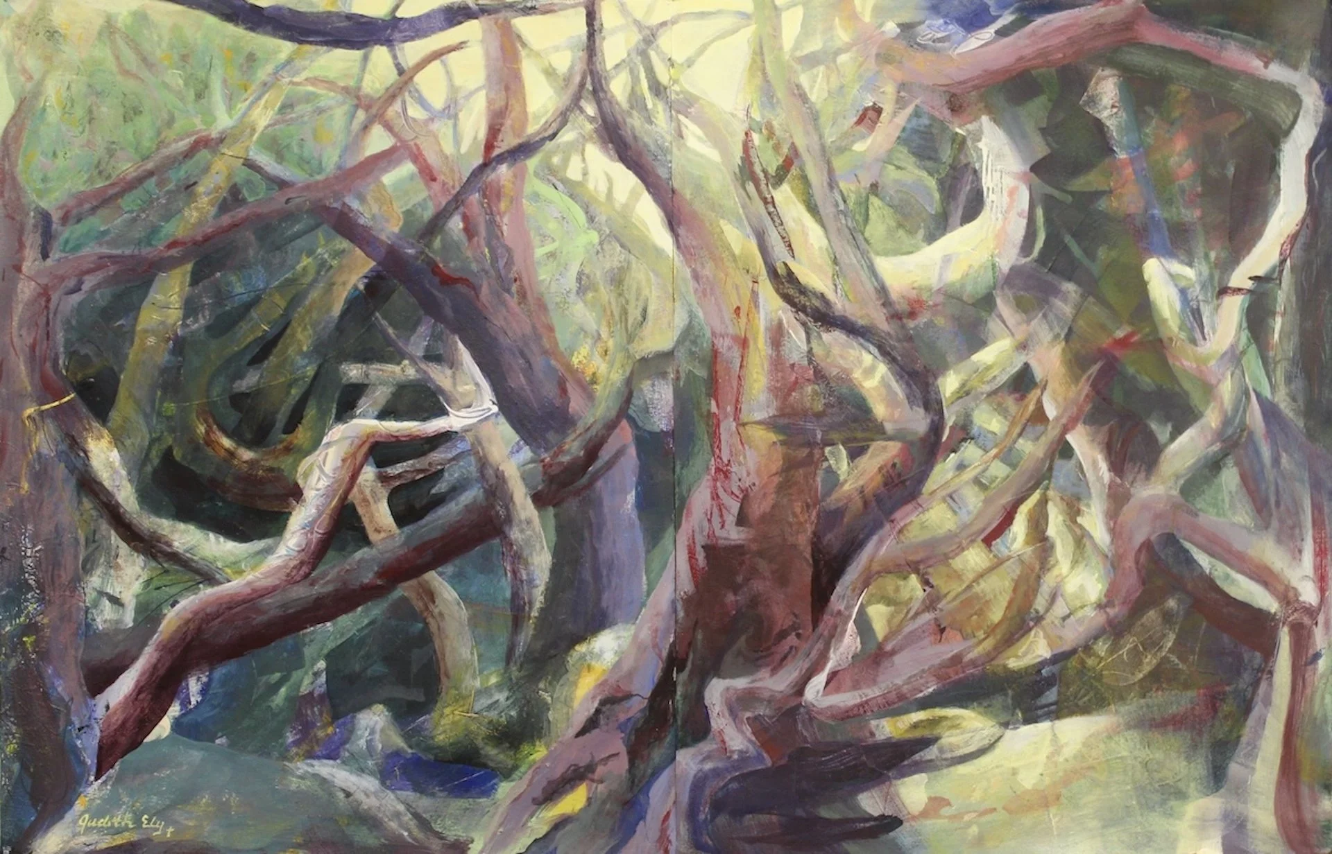Judith Ely
Rooted in the Spirit
