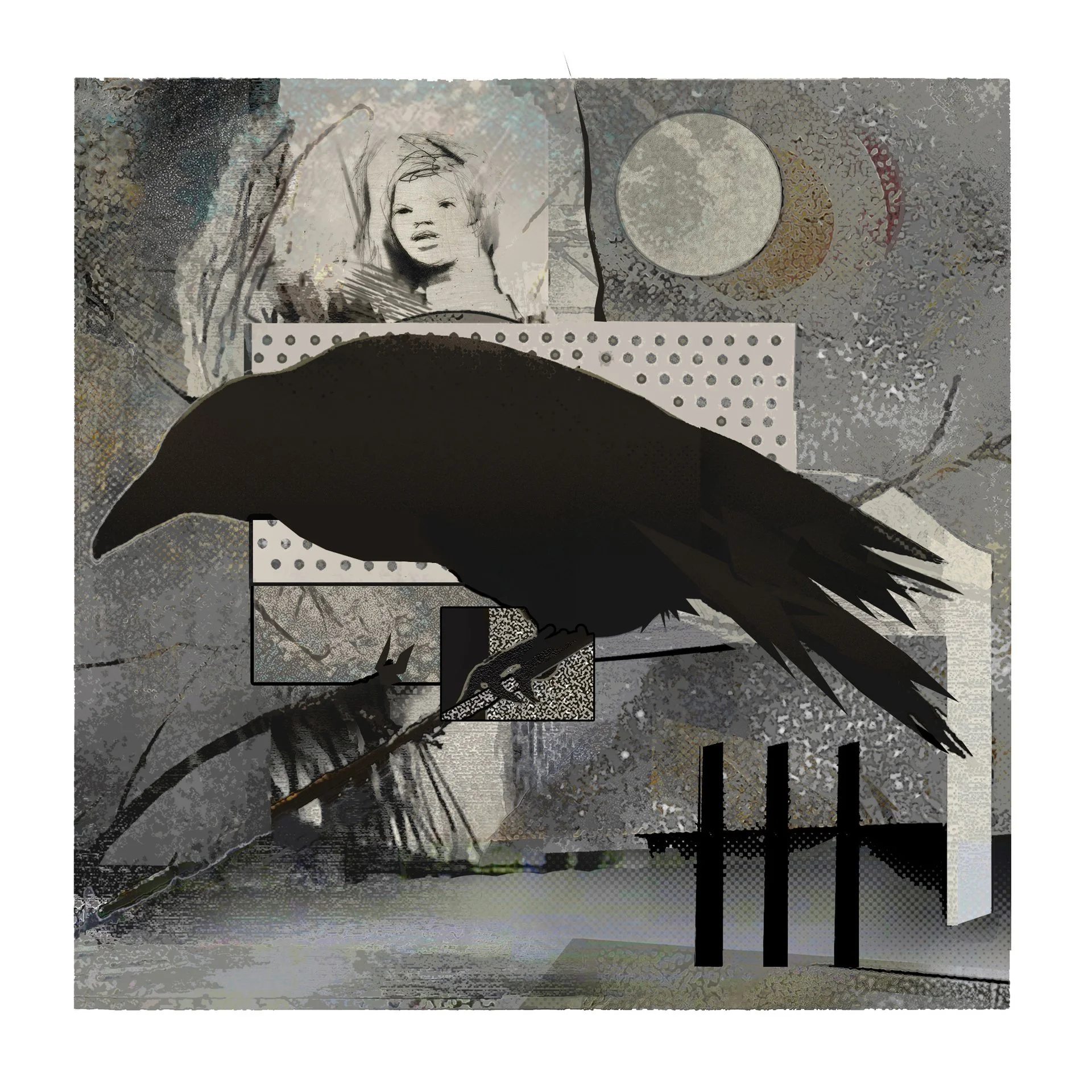 Robert Hunter
The Maiden and the Raven