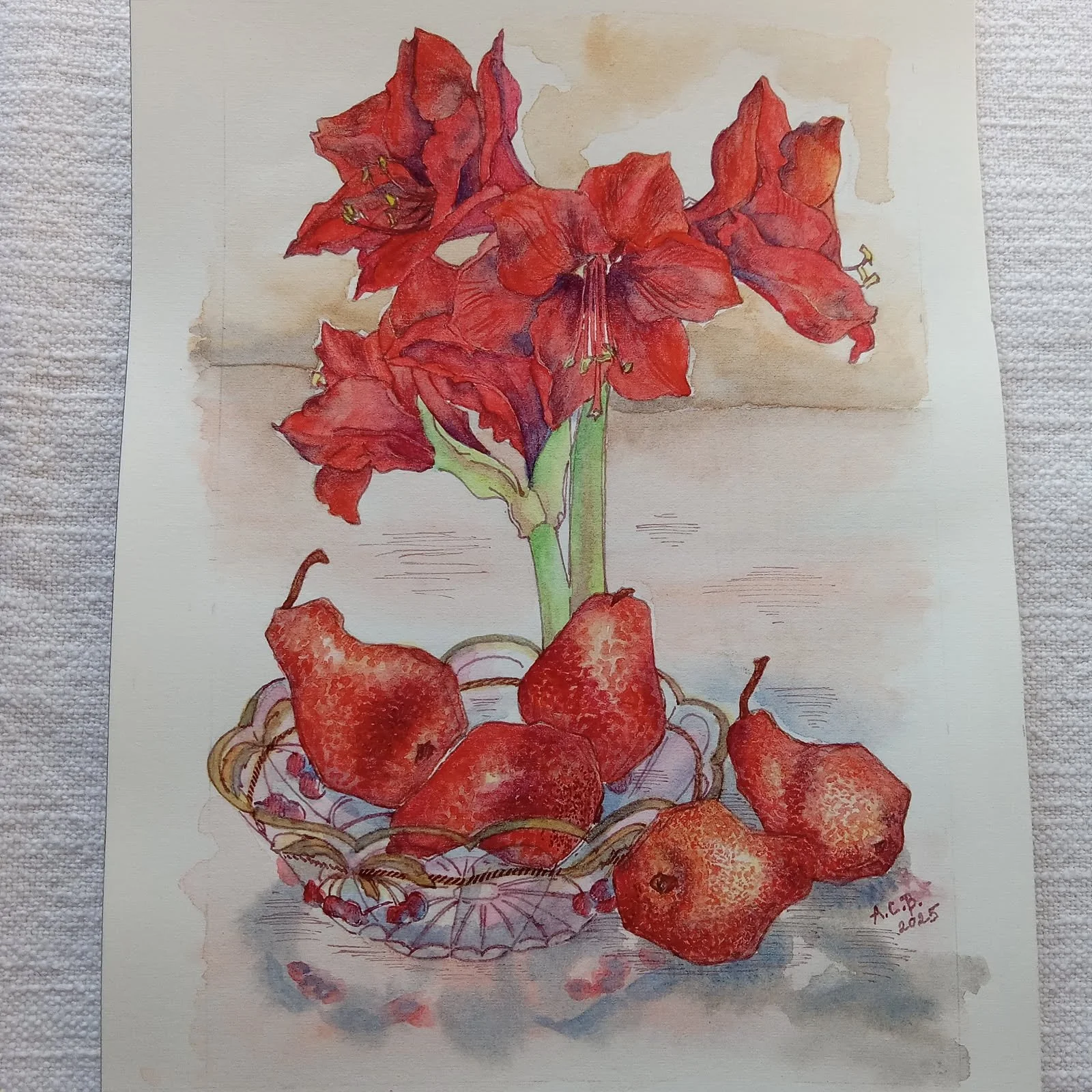  Ainsley Bloomfield
Red