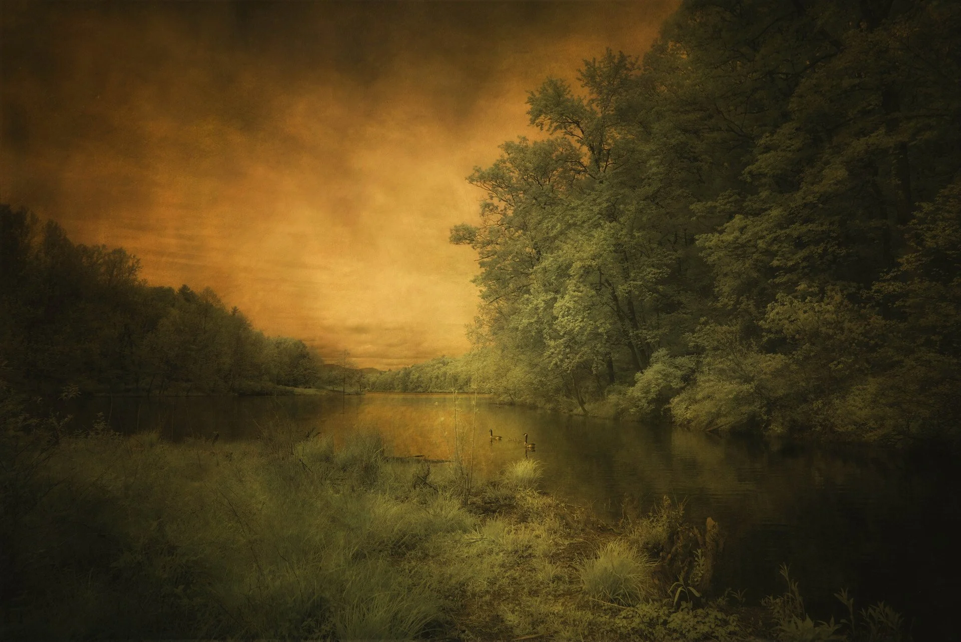Caitlin Garvey
Luminous Journey
