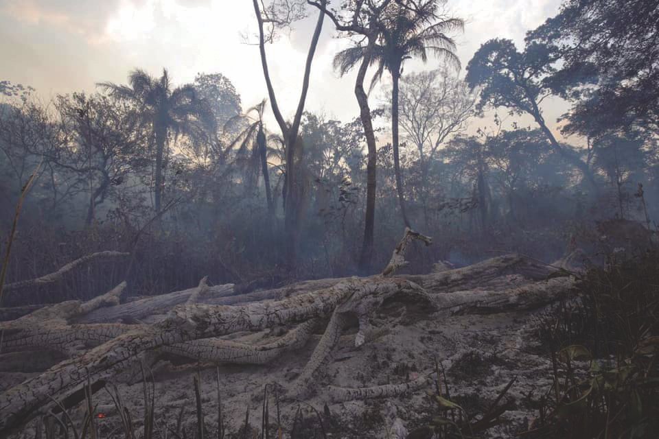  Fires set to clear forest for agriculture and ranching are destroying the Maya Biosphere Reserve. 