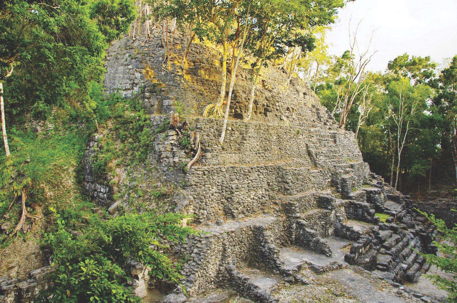  La Danta pyramid, one of the largest in the world. 