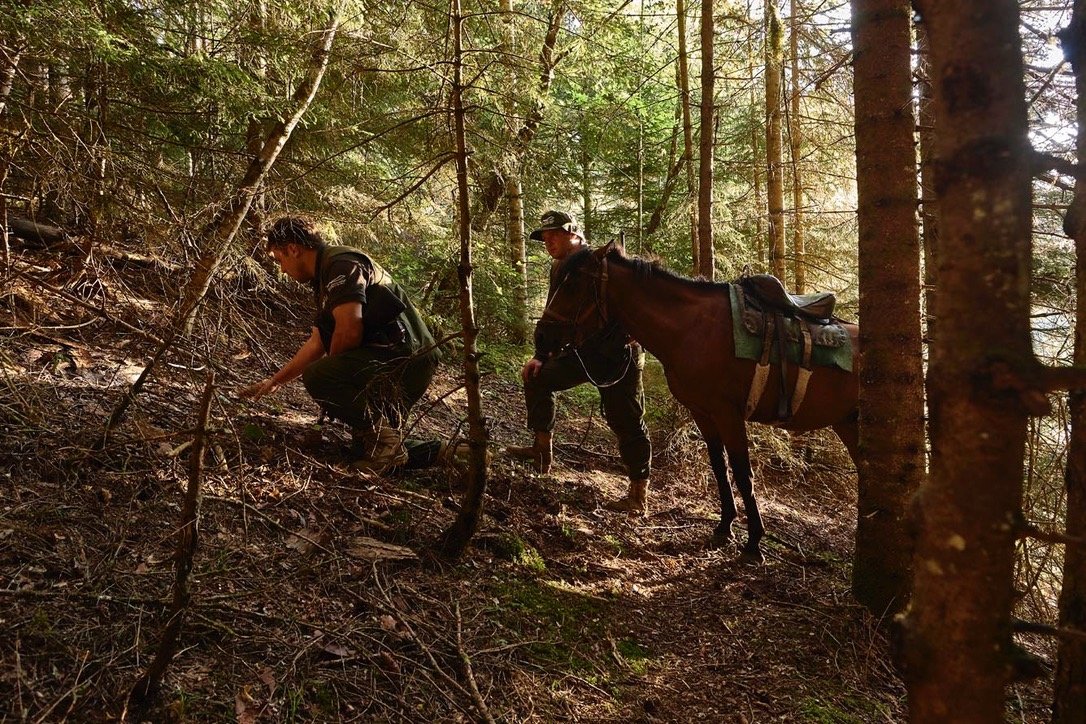 BKNP rangers often use horses to patrol these forested hills.