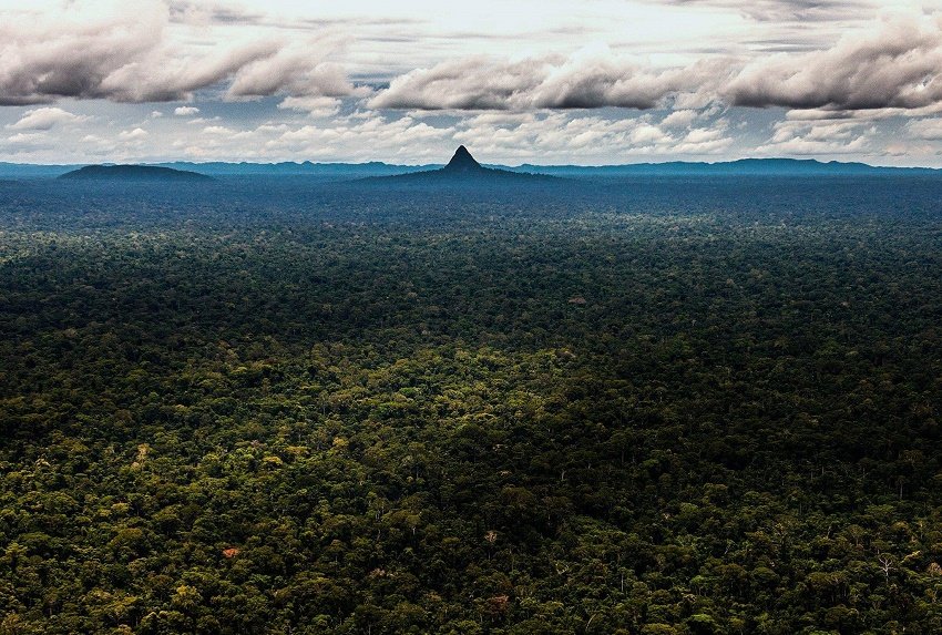 "El Cono" is a solitary peak that towers almost 500m above the rainforest.