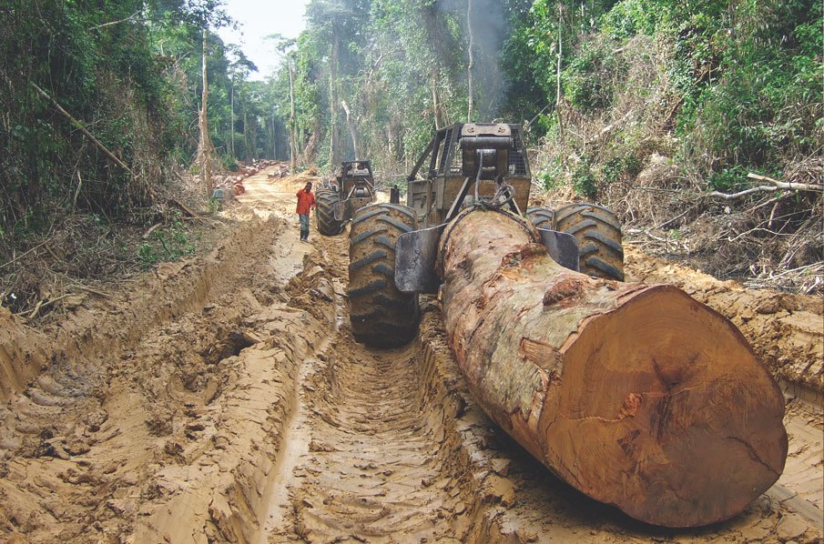Deforestation is the greatest threat to the Amazon.
