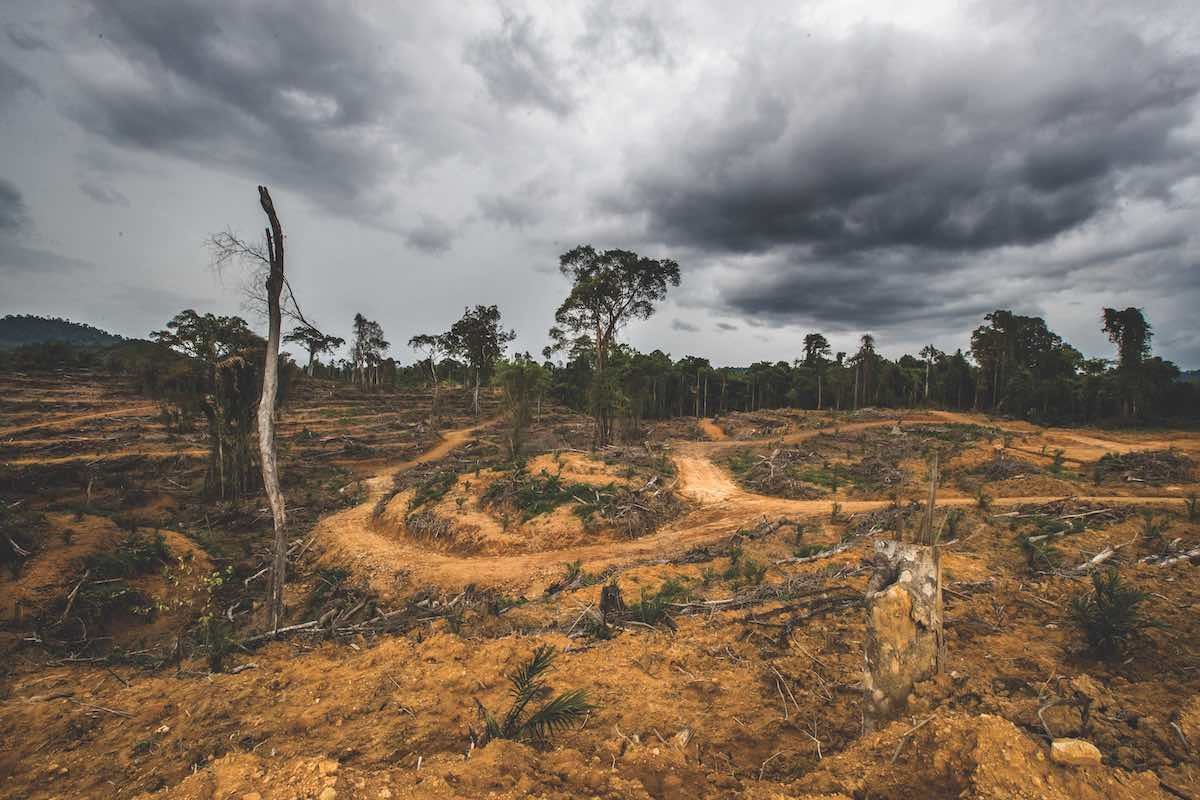 Deforestation is rampant as corporate interests illegally exploit the natural resources in Borneo. Global Park Defense is being deployed in World Heritage Sites to protect forests and stop poachers.