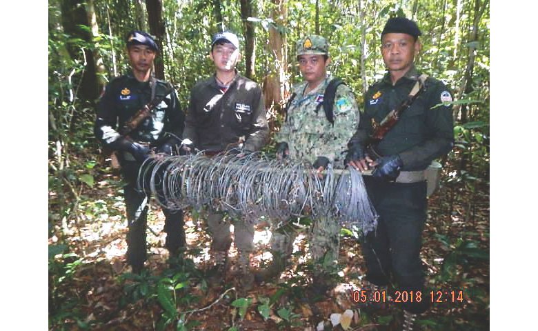 Rangers remove hundreds of illegal snares, which capture wildlife indiscriminately.