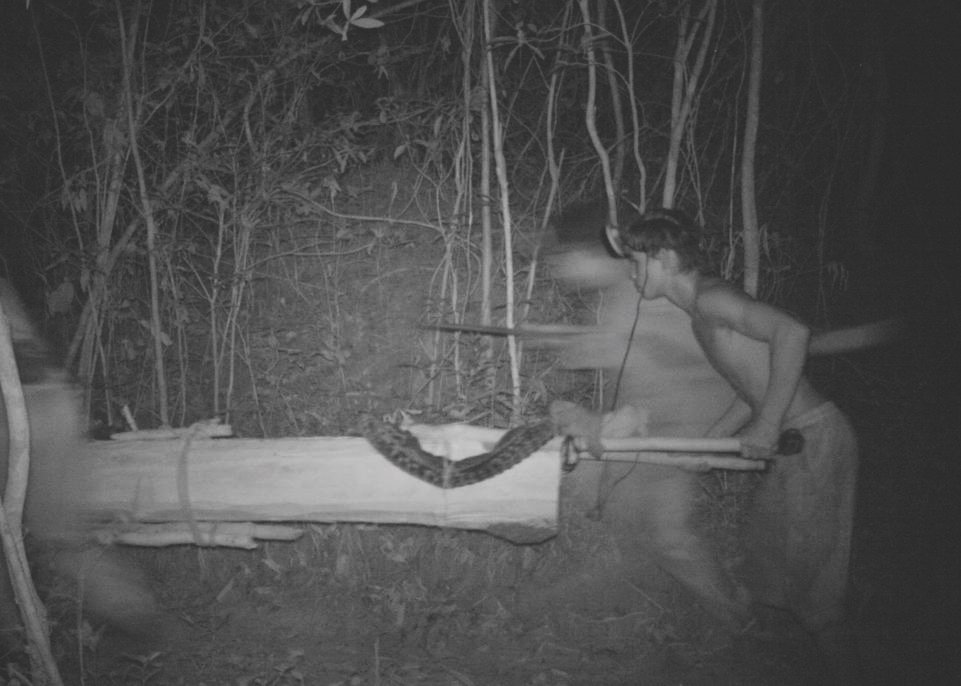 Poachers caught in the act by trailcams as part of Global Park Defense.