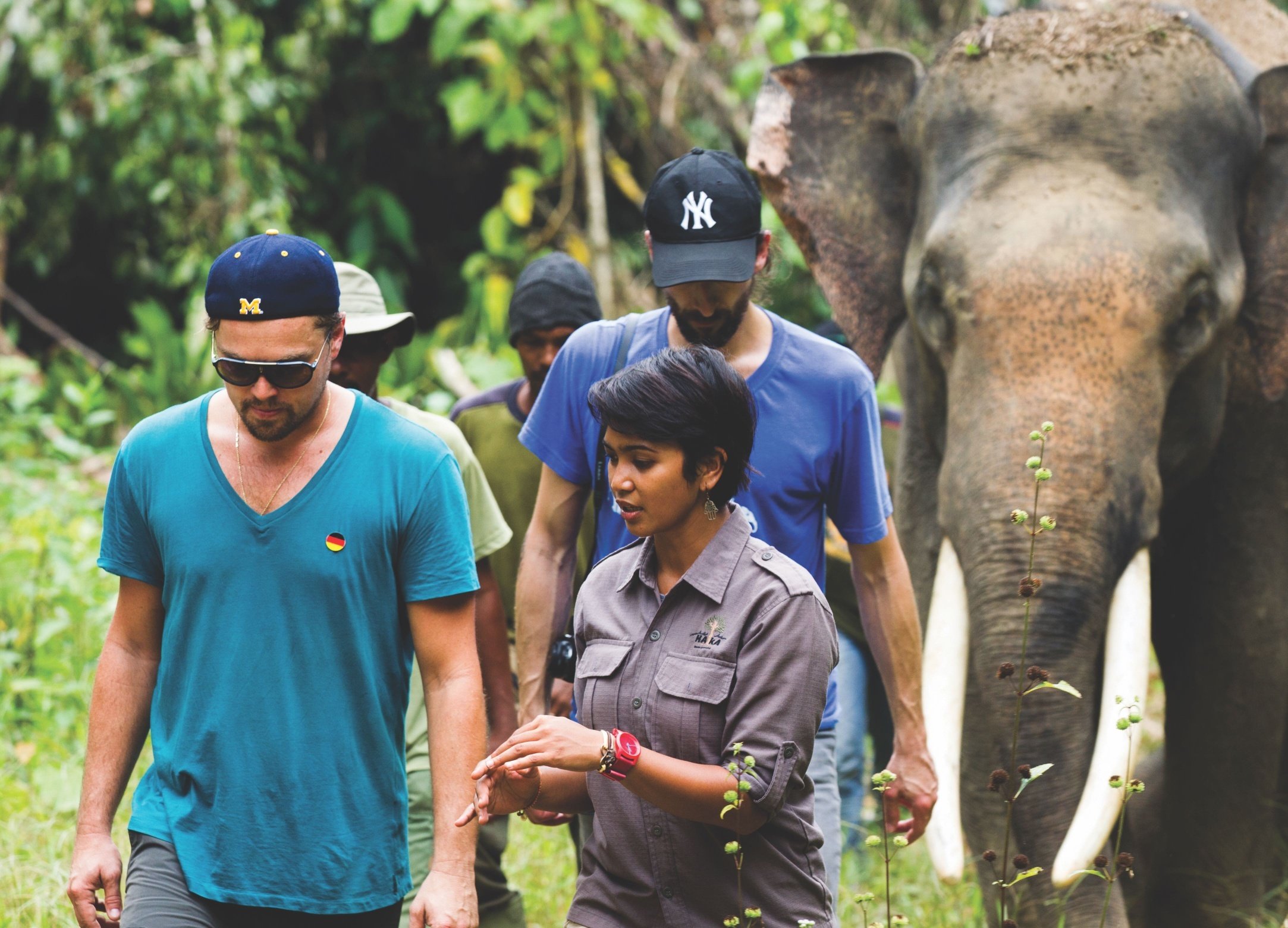 Celebrity activists like Leonardo DiCaprio, Adrien Brody and Farwiza Farhan are leading the fight to save the Leuser Ecosystem.