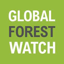 Global forest watch.jpeg