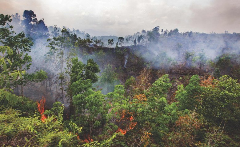  Fires set for land clearing are among the many threats to the Leuser Ecosystem's forests 