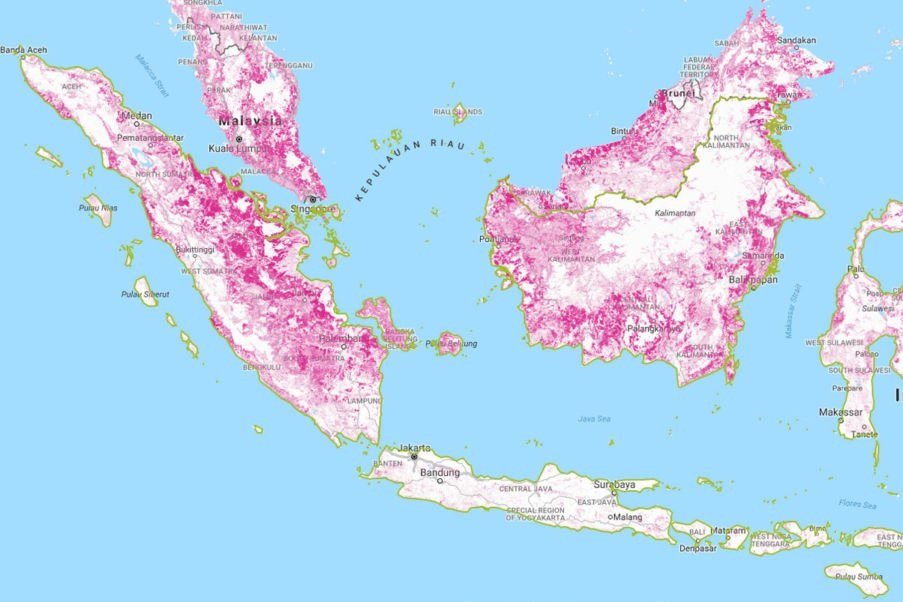  Forest loss (areas in pink) in Indonesia from 2001 to 2016, by Global Forest Watch. 