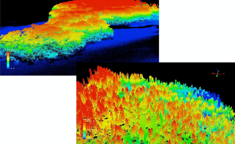  LiDAR&nbsp;measurements of forests are giving scientists a better understanding of how much carbon is absorbed and stored by forests. Courtesy  ASU GDCS  
