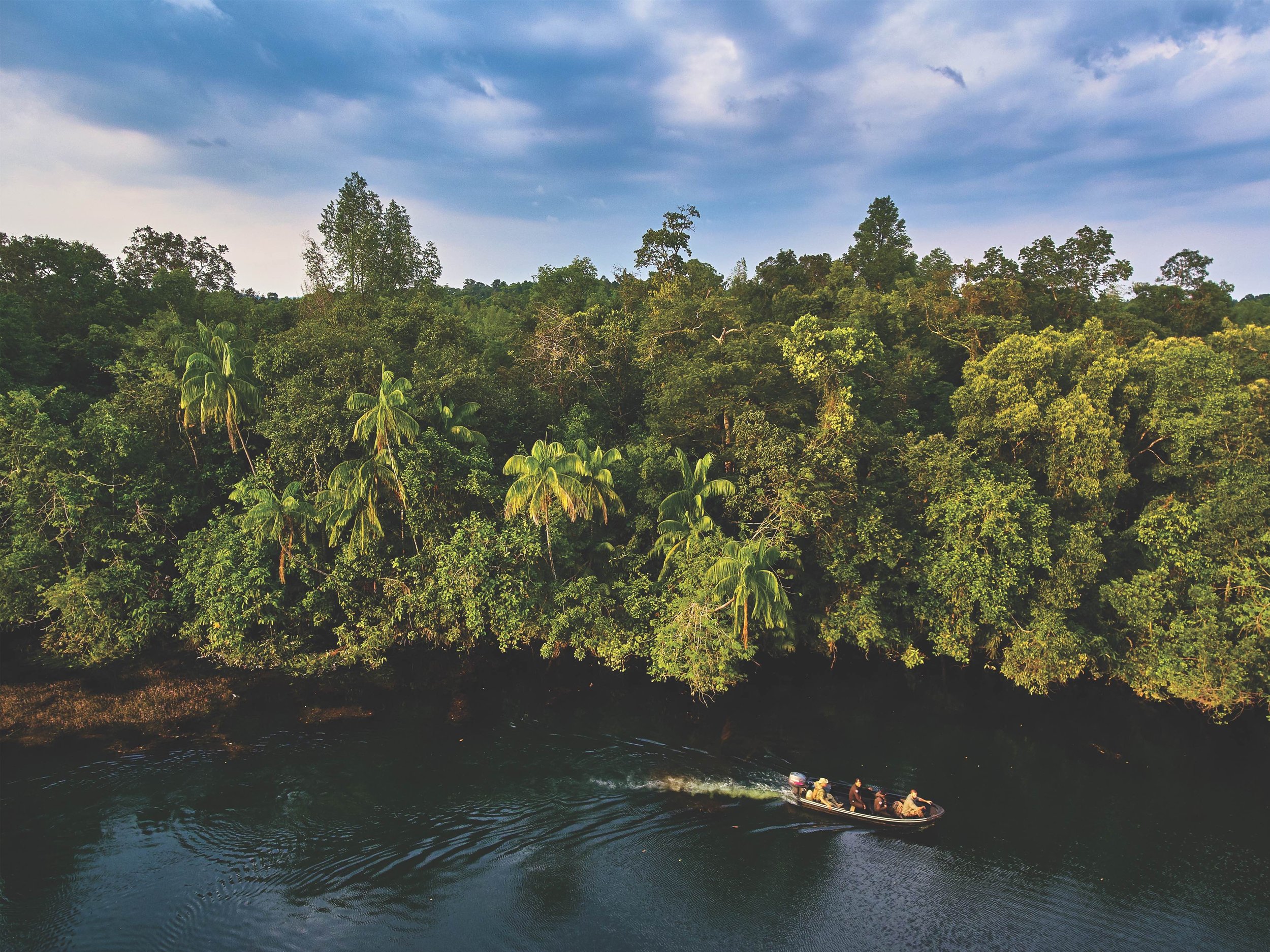  The pristine forests and waterways of the Cardamom Mountains make it one of the world's most important biodiversity hotspots 