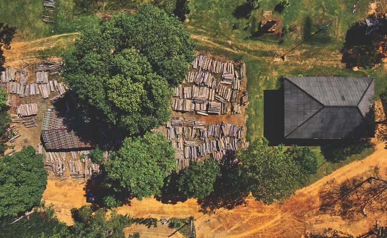  Drones can give rangers a birds-eye view, which helps them detect illegal activity like this rosewood harvesting operation in Thap Lan National Park, Thailand. 