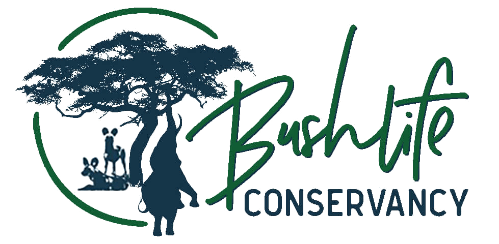 Bushlife-Conservancy-Logo-wildogs-and-elephants-transparent-2.png