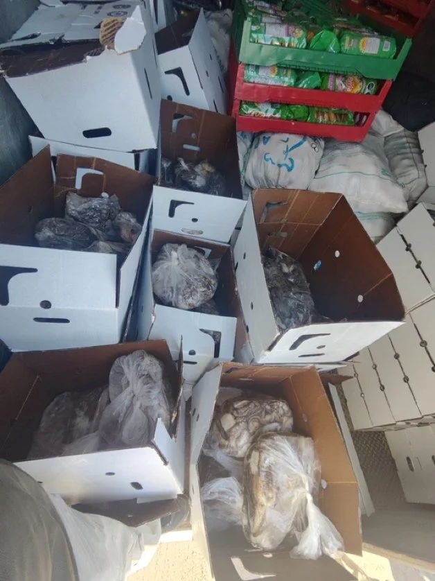 baja confiscations 1.jpeg