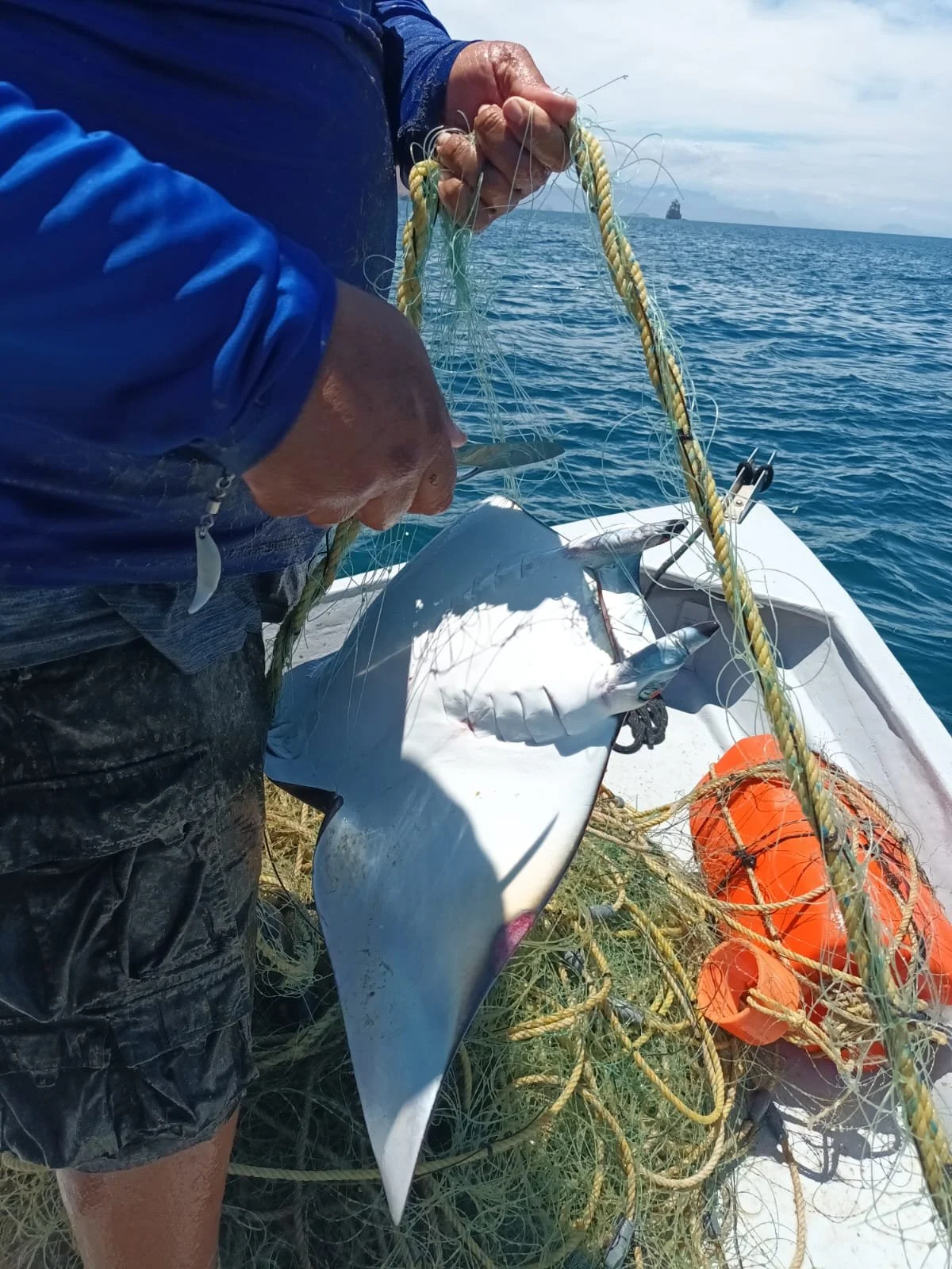 Marine Protection for Baja Sur, Mexico 2024-25 Impact Report