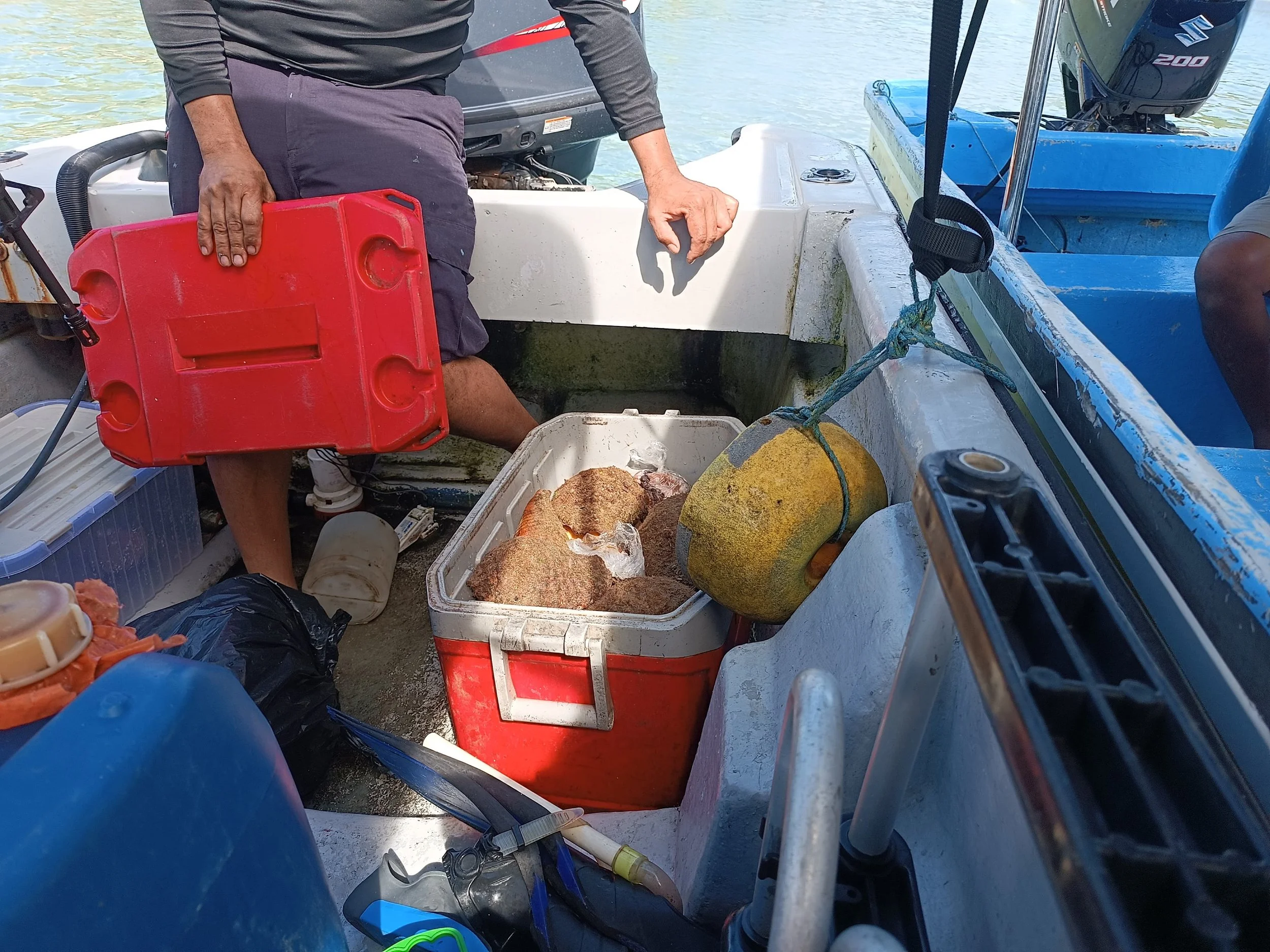 CoibaIllegalFishing12025e (1).jpg