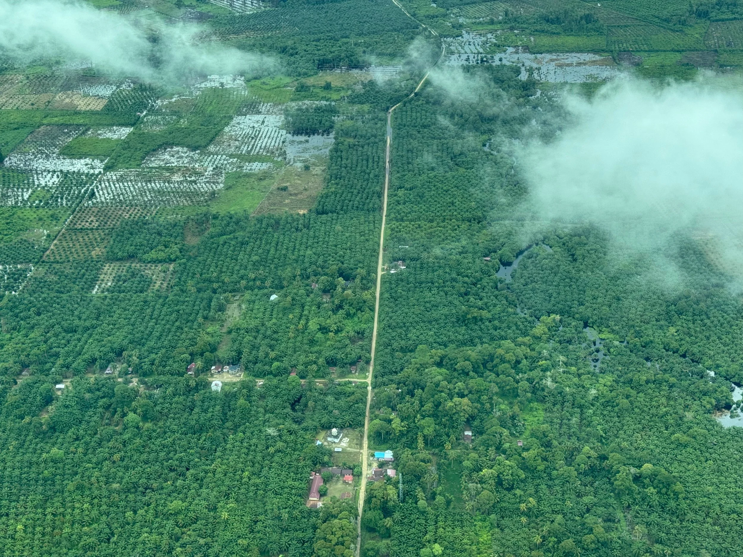Saving Rawa Singkil Wildlife Reserve of Leuser Ecosystem, Aceh Province, Sumatra, Indonesia