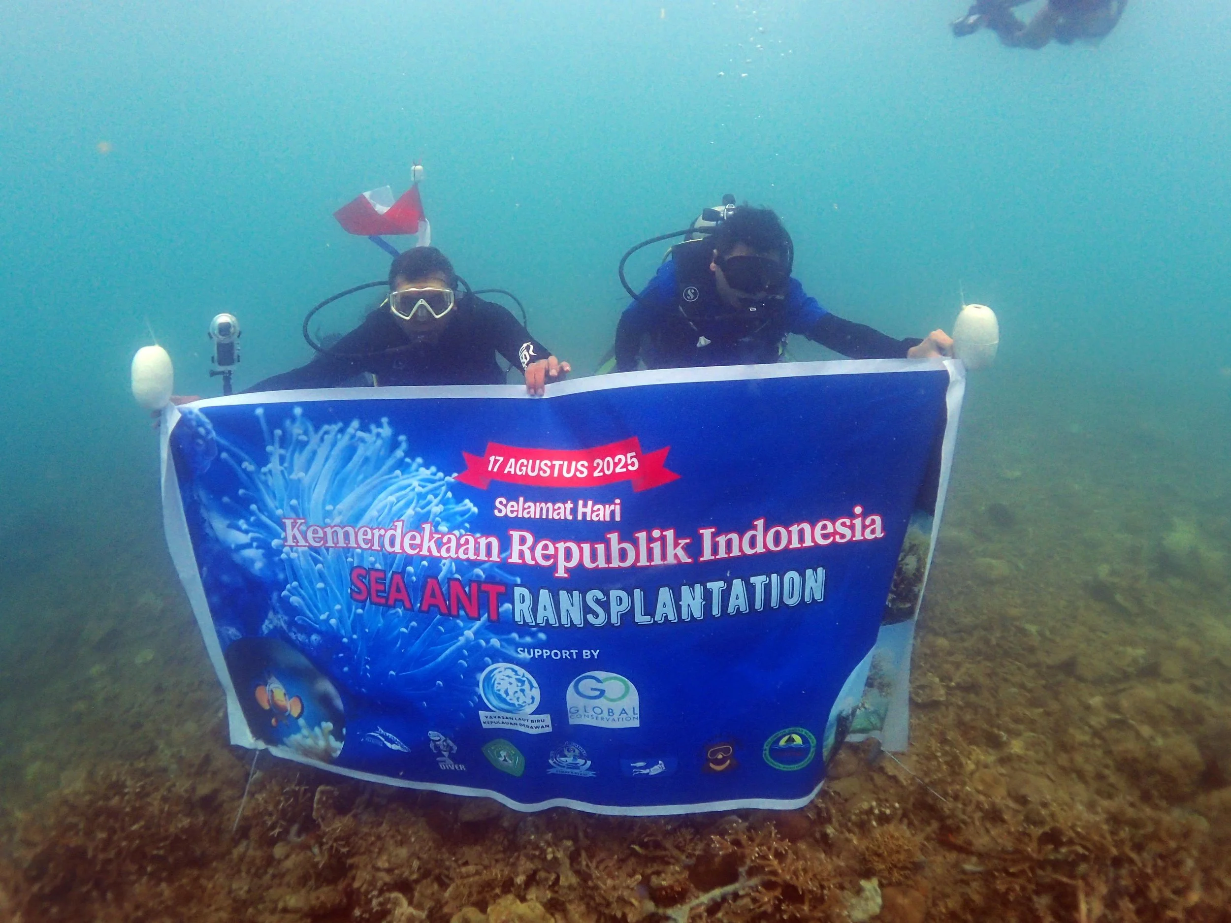 02_Leaflet underwater.jpeg