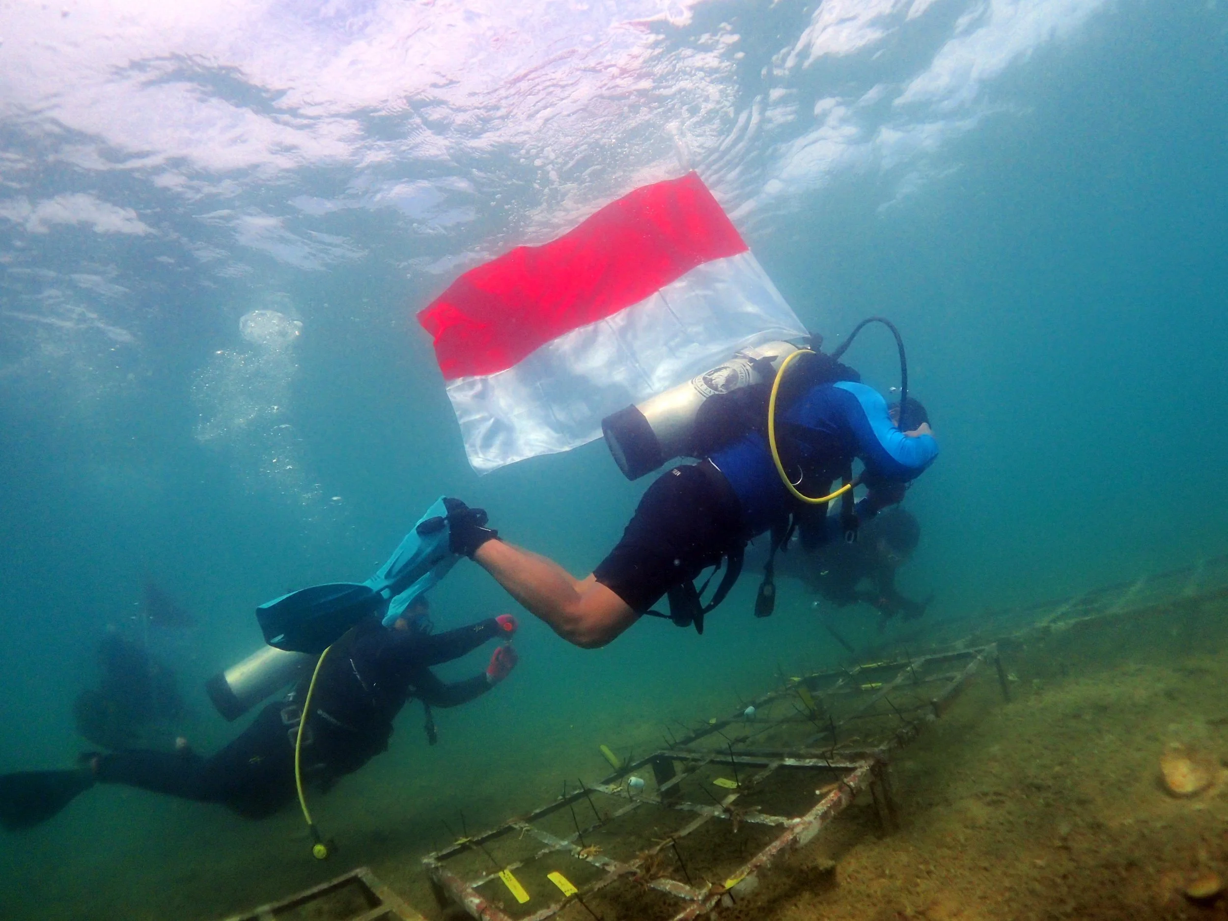 04_In commemoration of Indonesia's independence day.jpeg