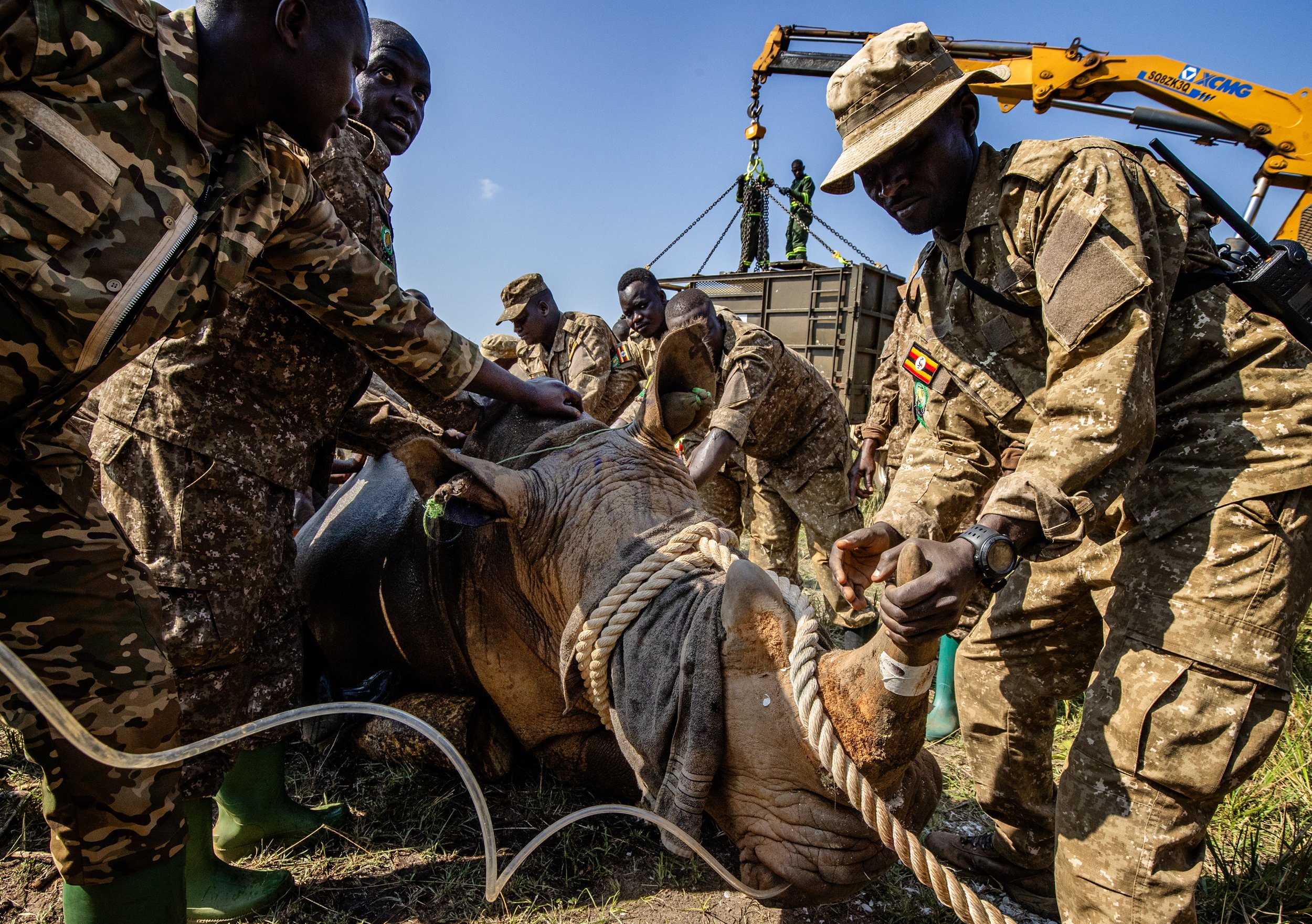Breaking GC News: BBC Covers GC Rhino Reintroduction in Kidepo Valley NP Uganda