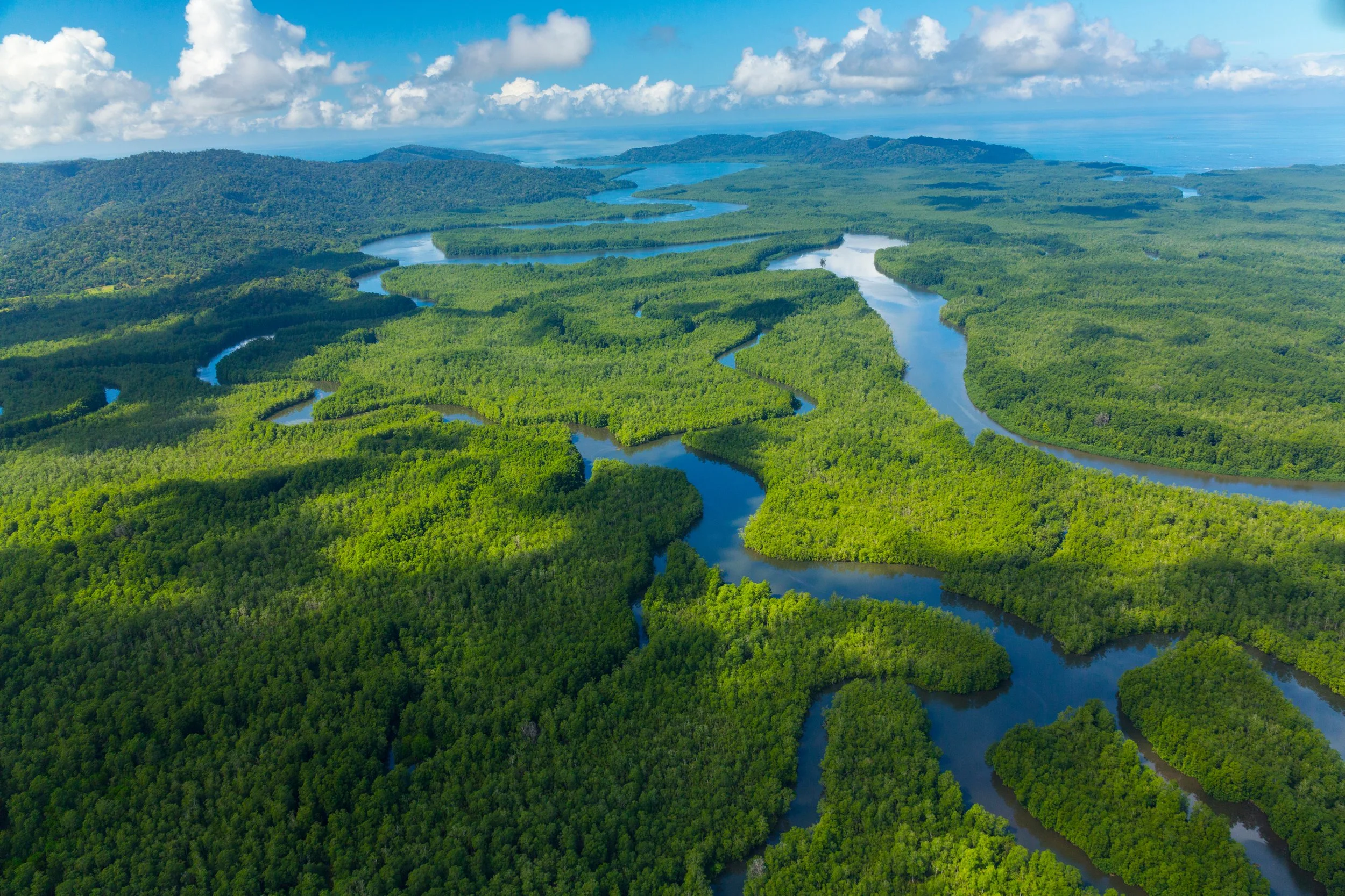 Global Conservation—Global Park Defense Costa Rica–Panama&nbsp;