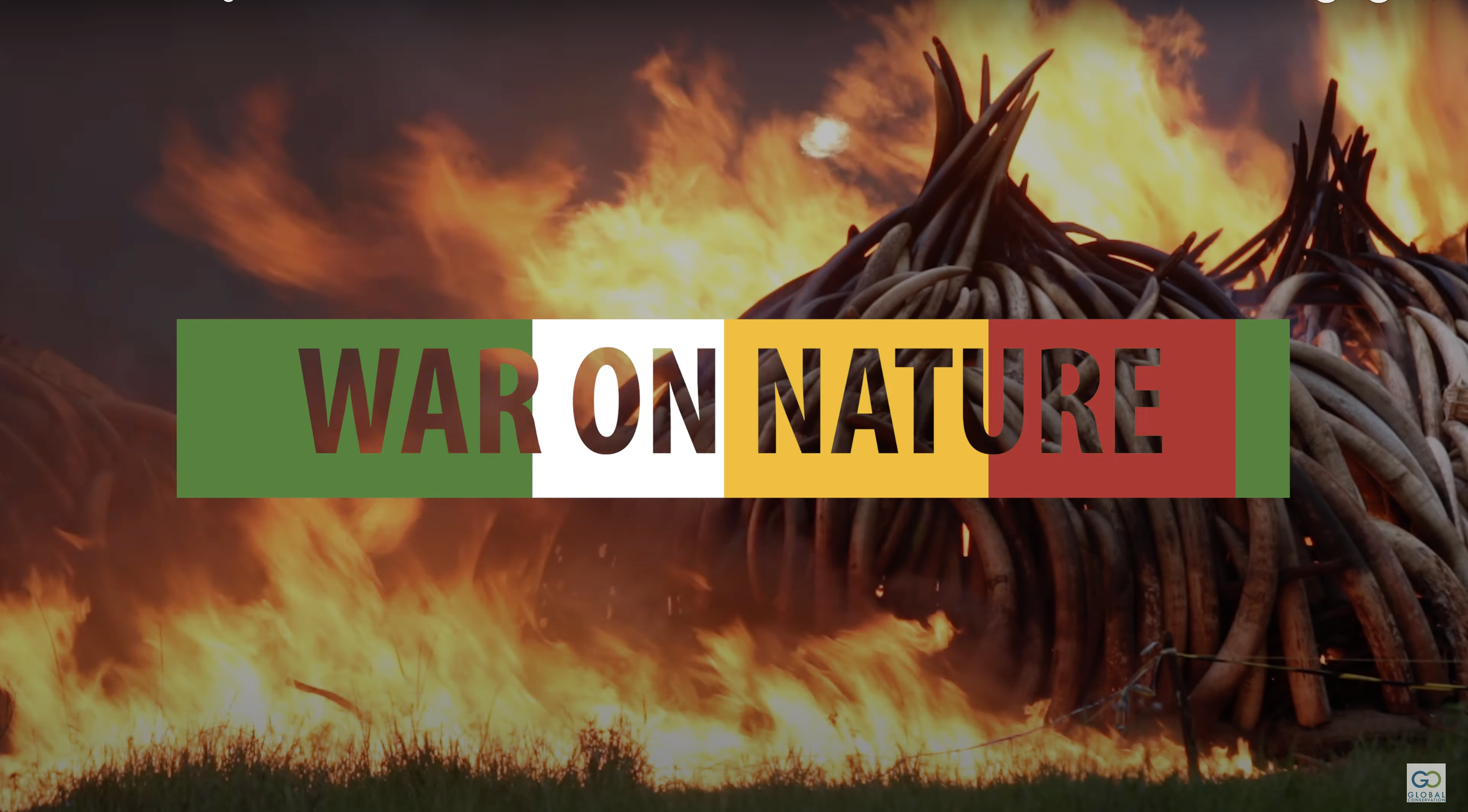 GC Hits Major Milestone: 5 Million Youtube Views