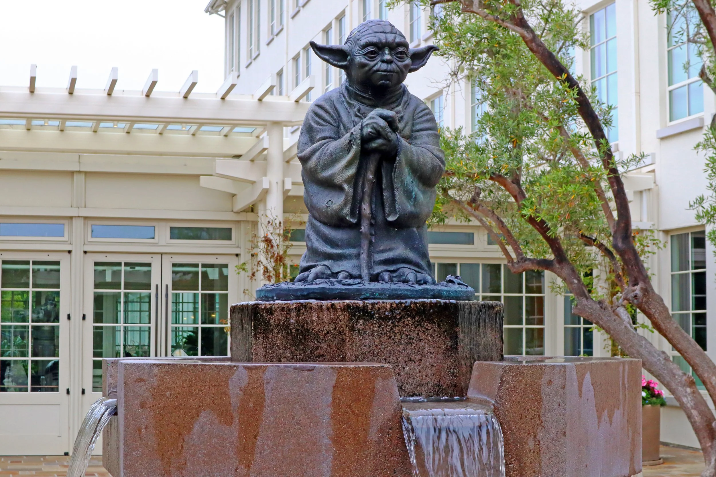 Protecting Our Planet at the Sf Lucas Center For Digital Arts