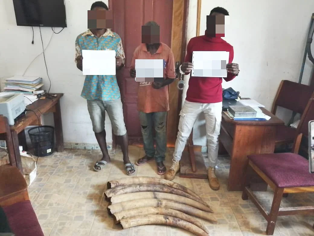 Law Enforcement Support Project on Wildlife in Gabon