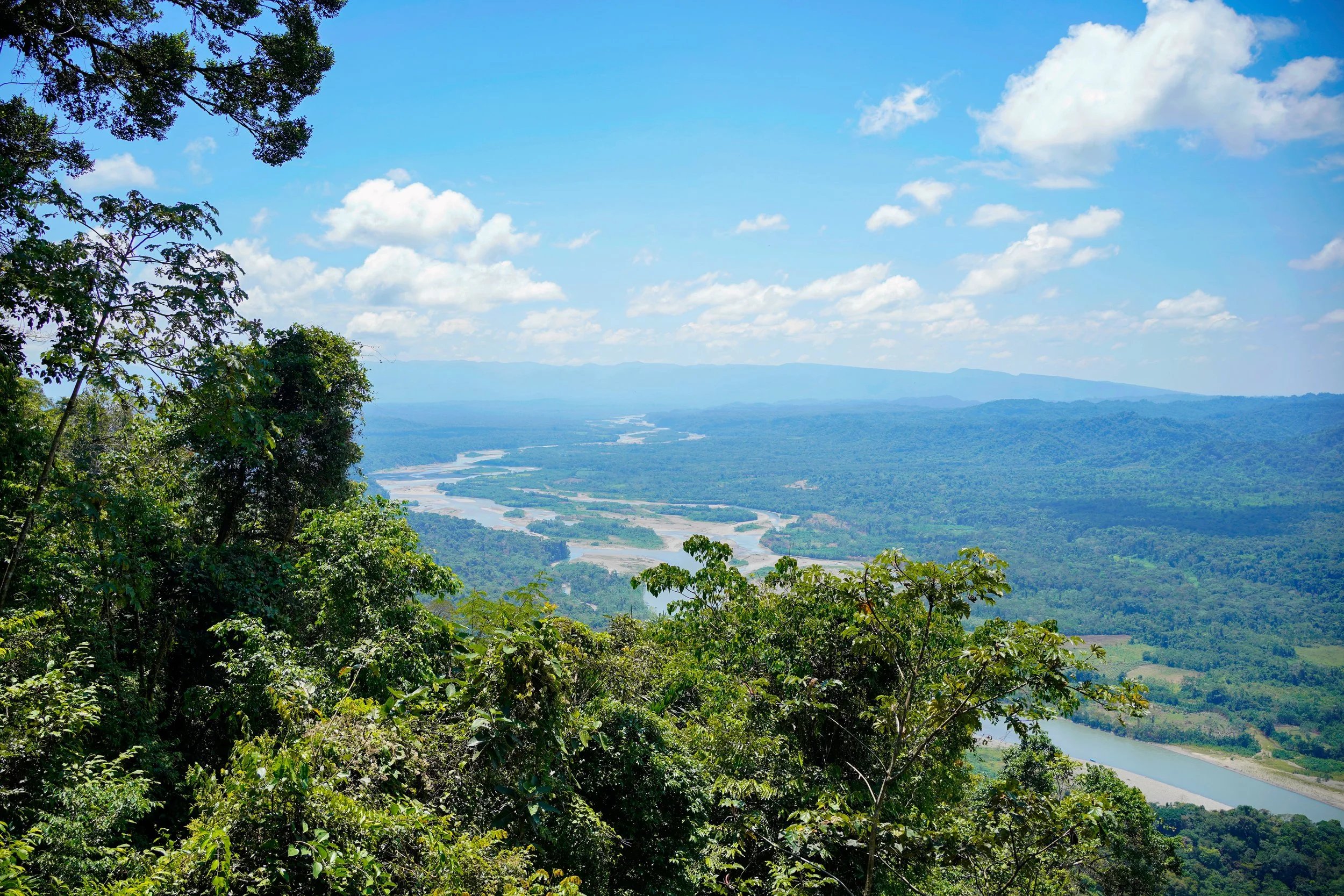 Global Conservation’s Indigenous Lands Protection