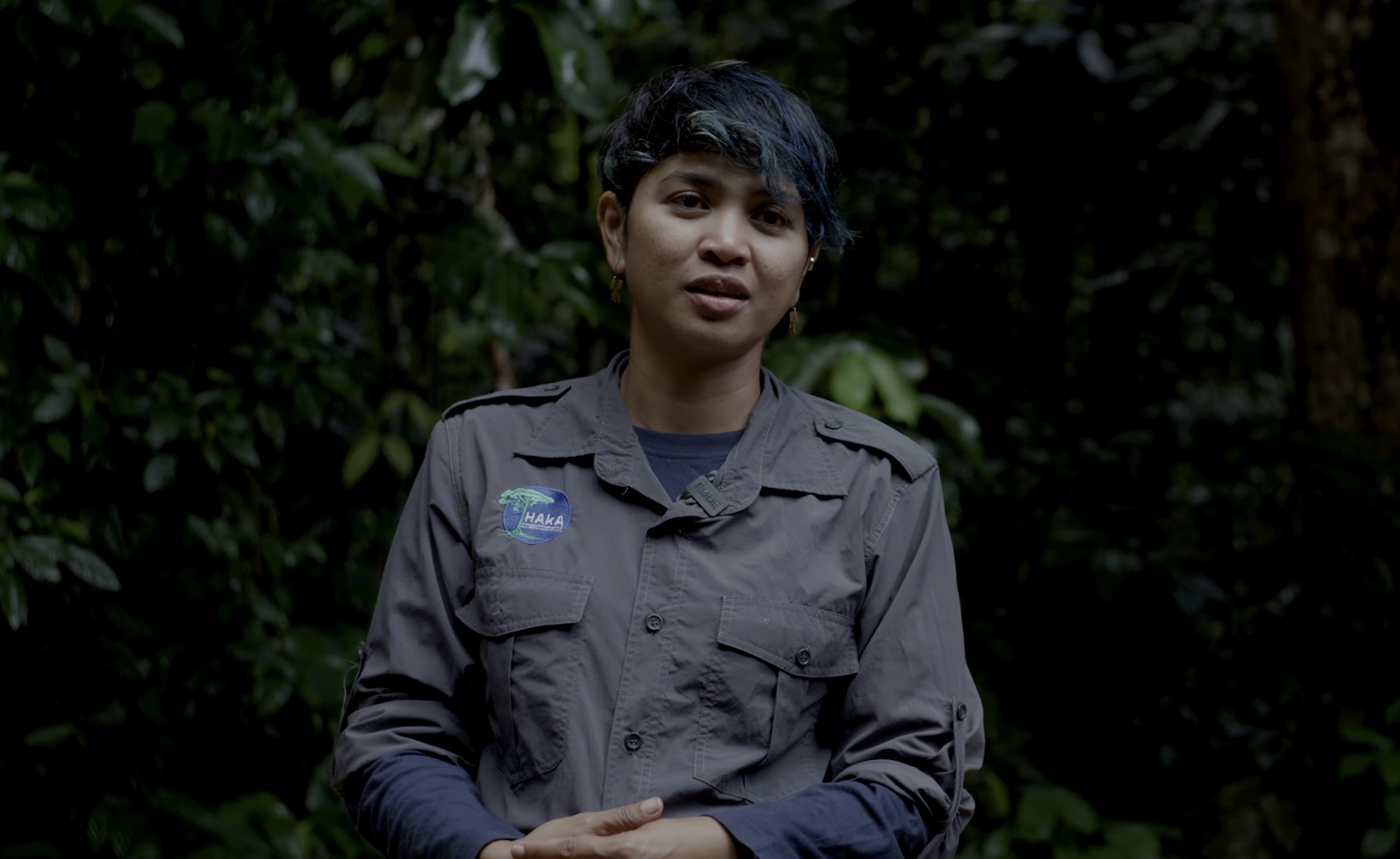 New “War On Nature” Short Film: Big Palm Oil vs Leuser Ecosystem