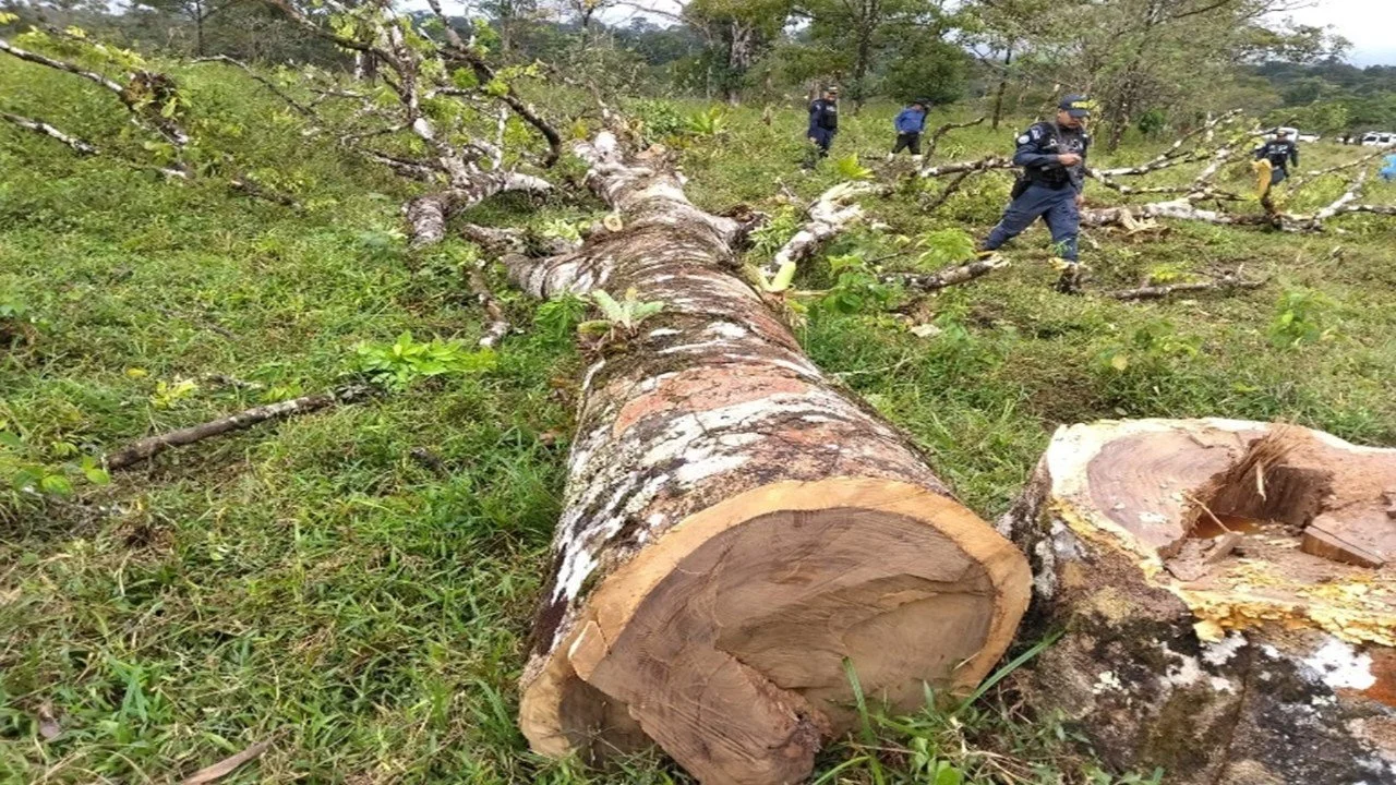 Guanacaste 2026 Q1 - 11.jpeg