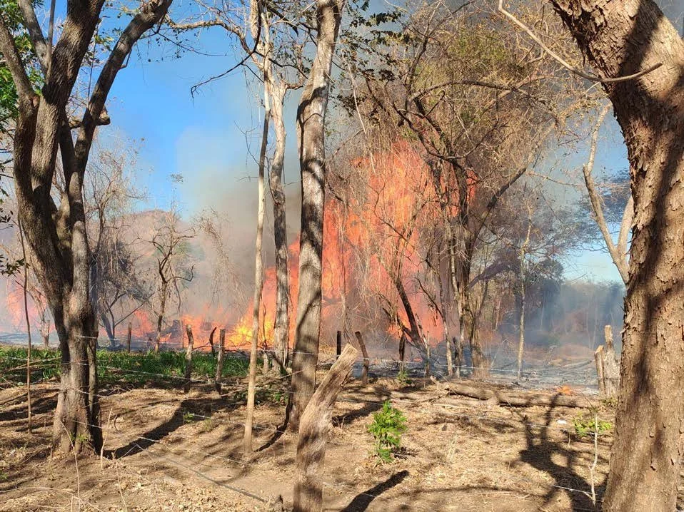 GC Supports Thermal Imaging to Prevent Fires in the Guanacaste Conservation Area