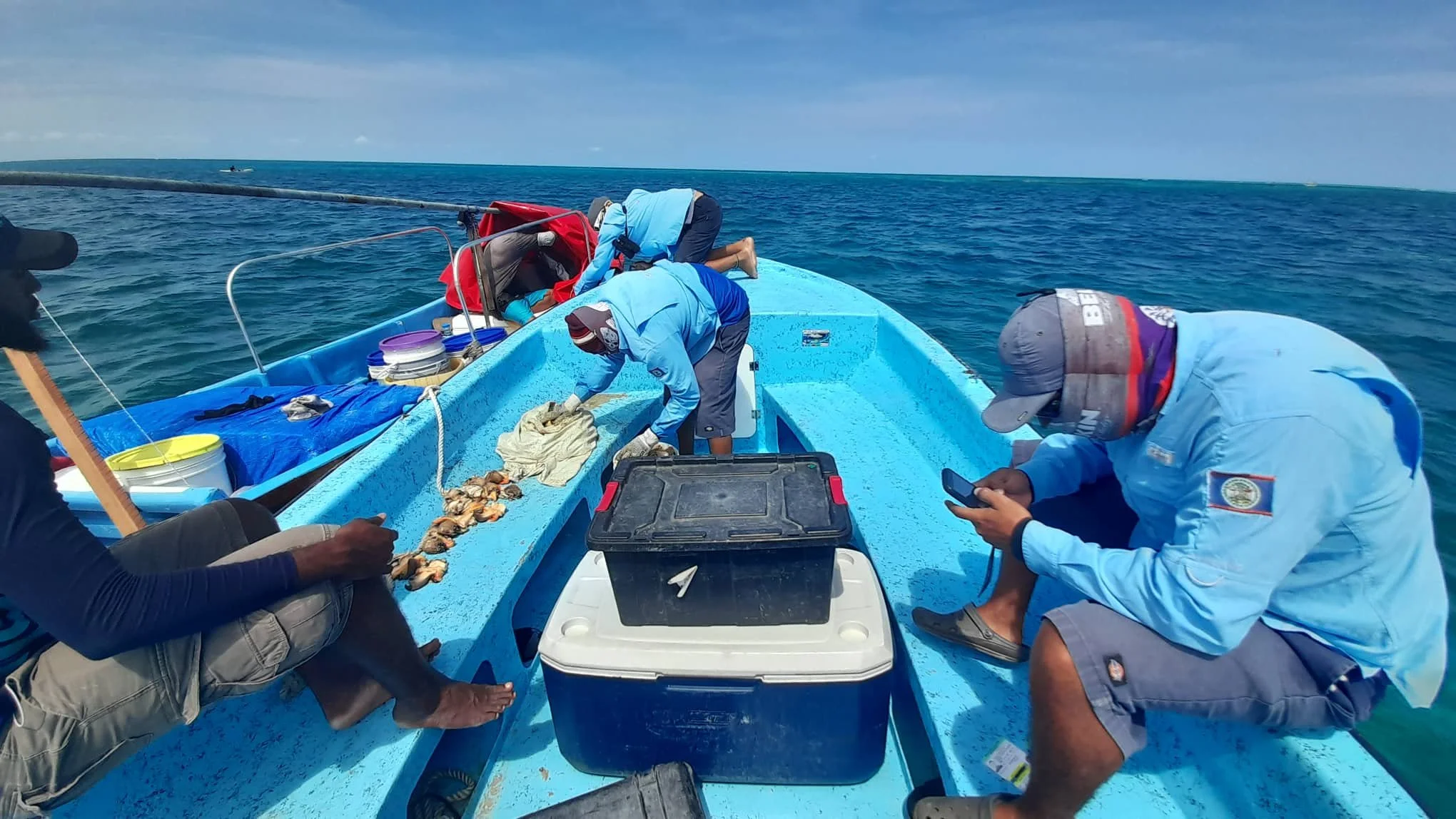 TurneffeBelize_Inspection11.jpg