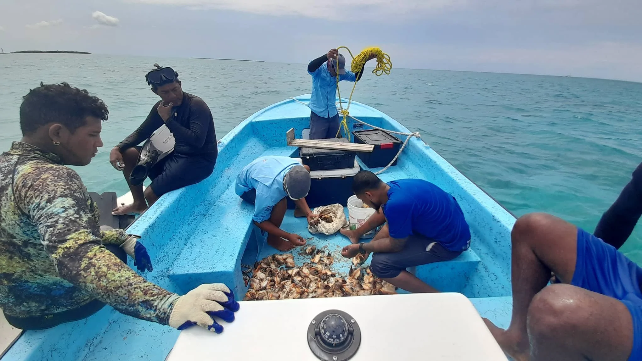 TurneffeBelize_Inspection10.jpg