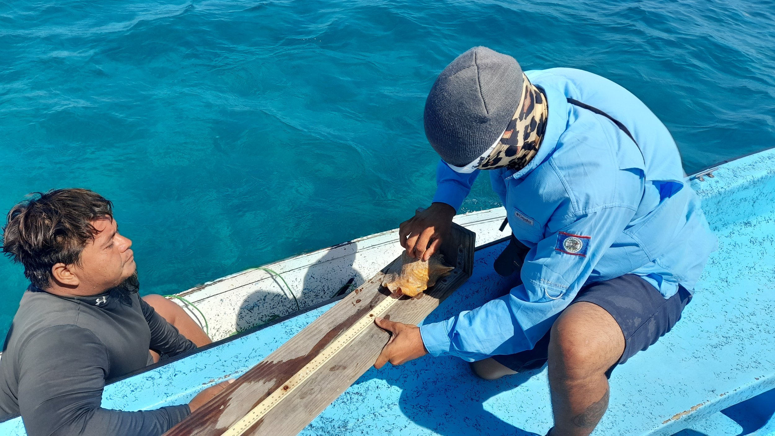 TurneffeBelize_Inspection3.jpg