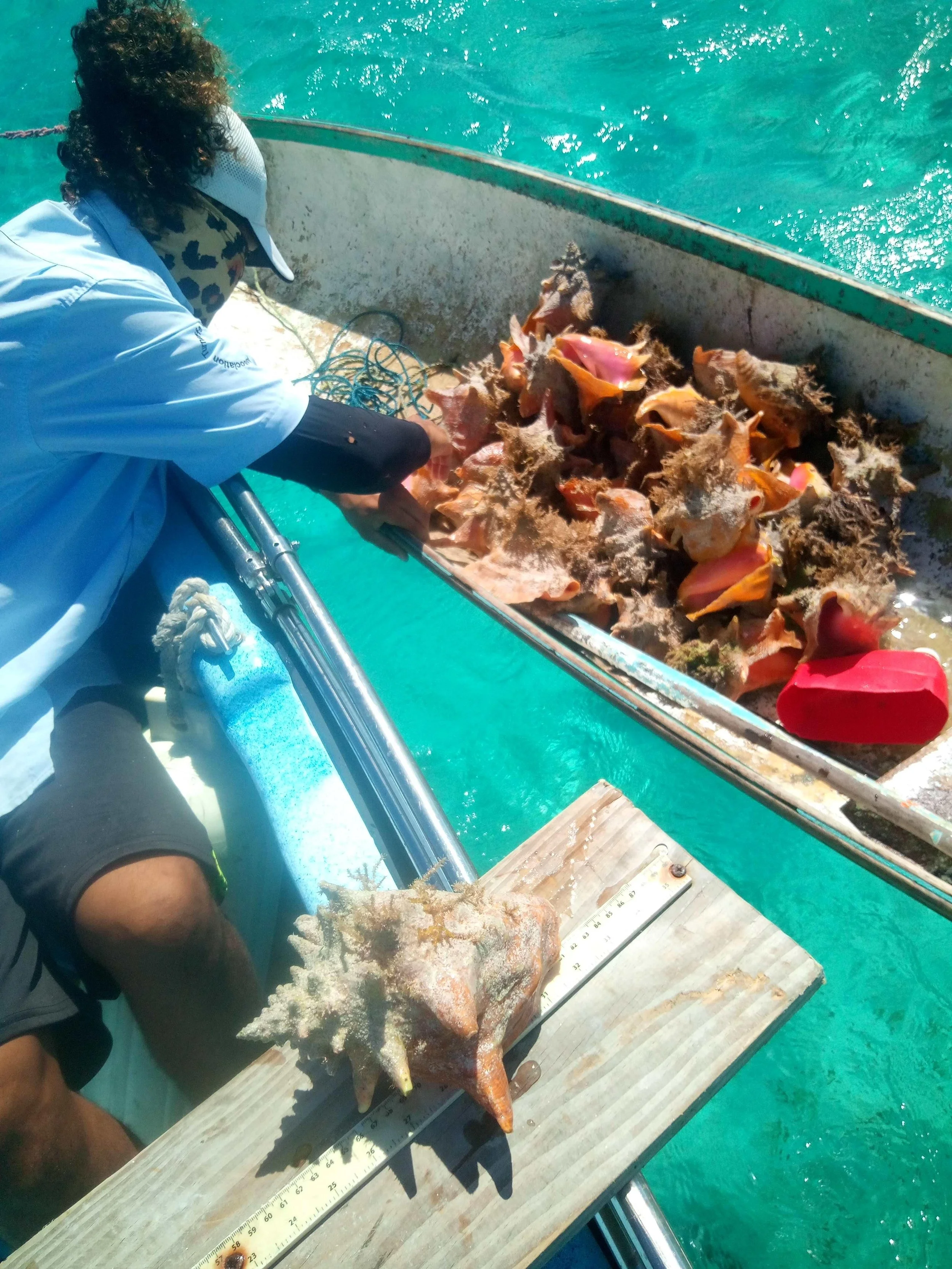 TurneffeBelize_Inspection18.JPEG