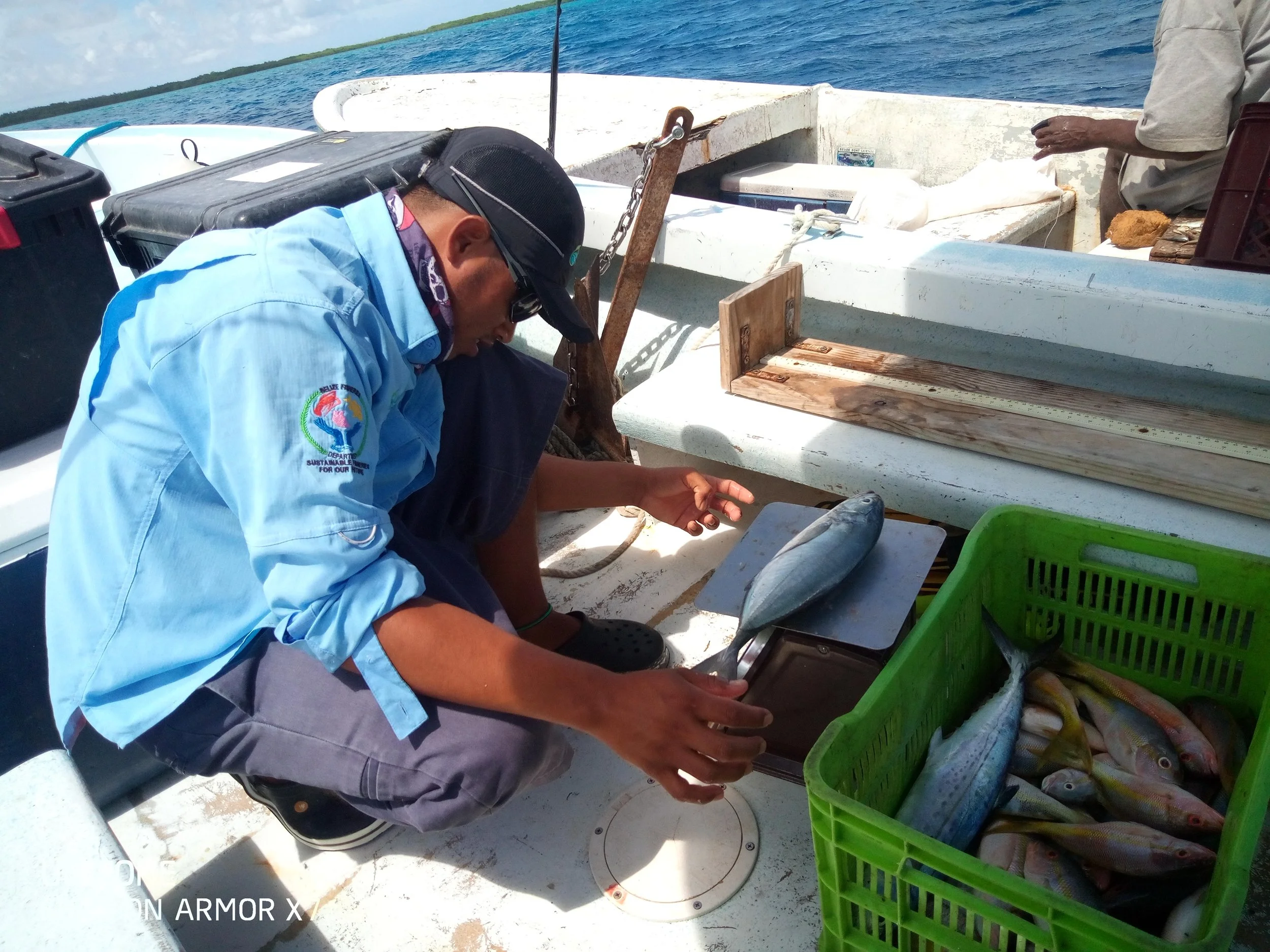 TurneffeBelize_Inspection133.jpg