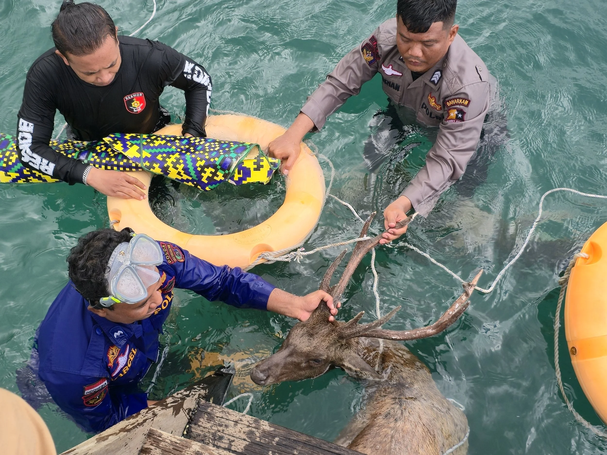 Komodo National Park Rangers Clear All Poaching from the West Side of the Park