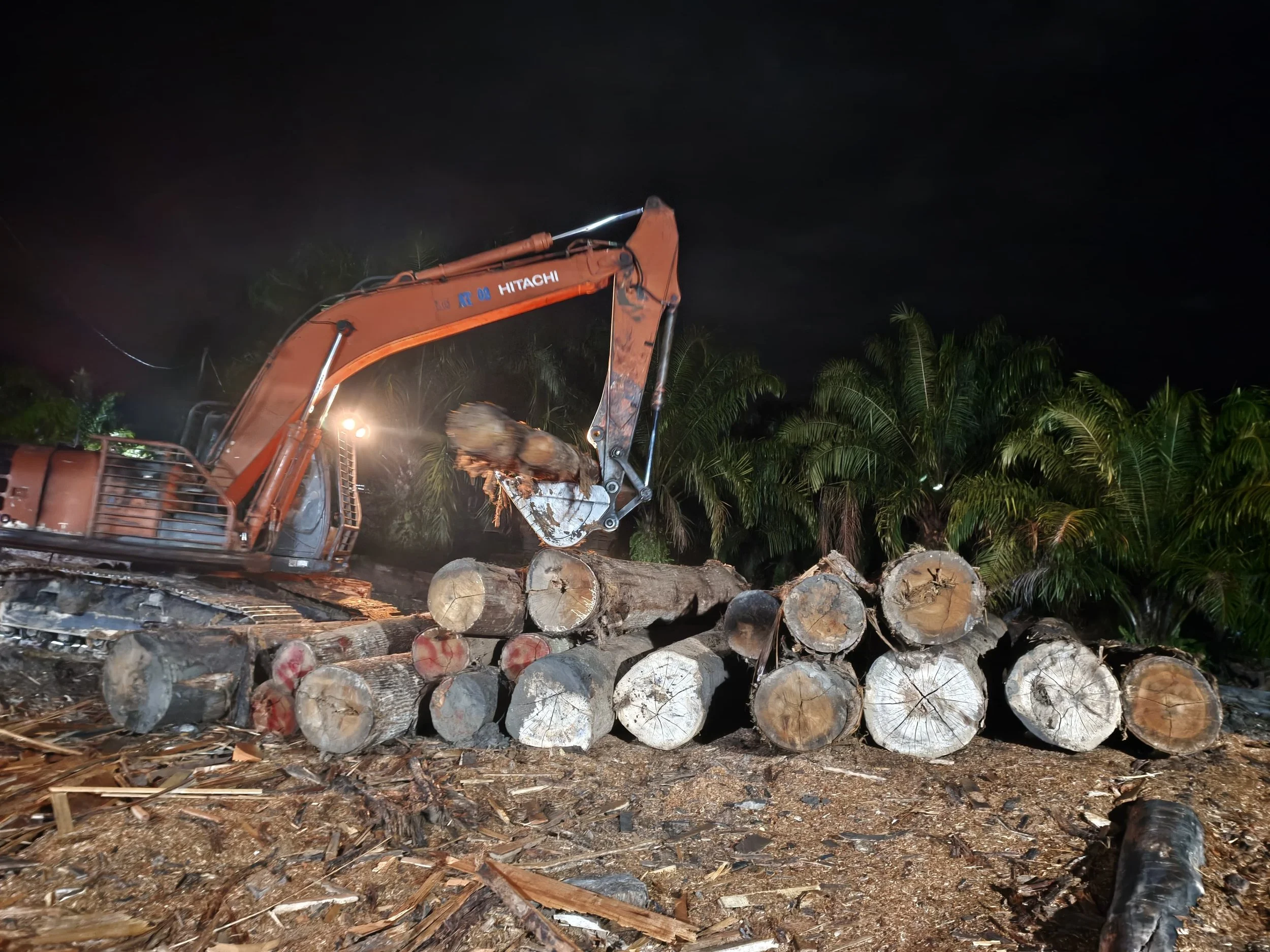 Update on GC Singkil Wildlife Reserve and Suaq Restoration in Leuser Ecosystem, Sumatra