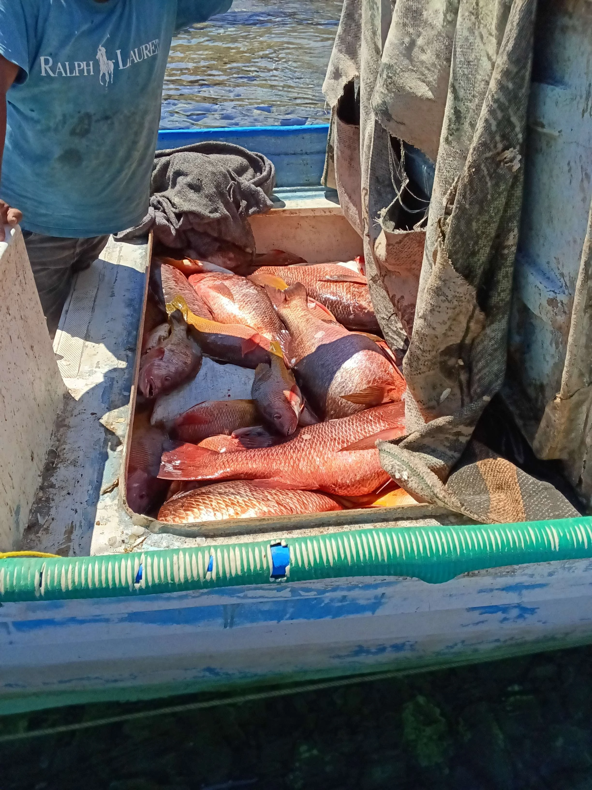 verificacion panga punta perico (1).jpeg