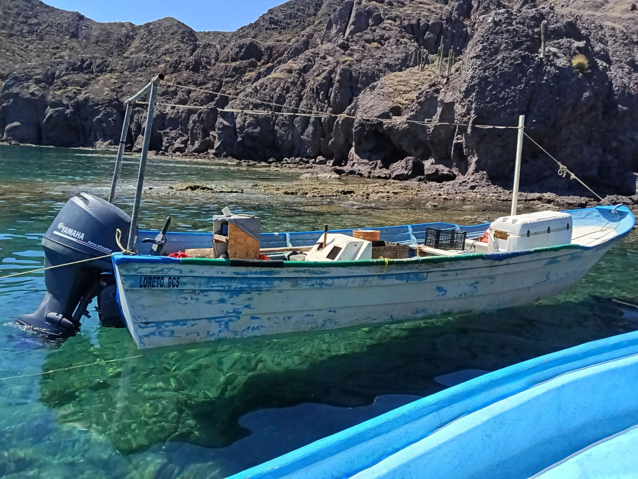 verificación panga punta perico2.jpeg