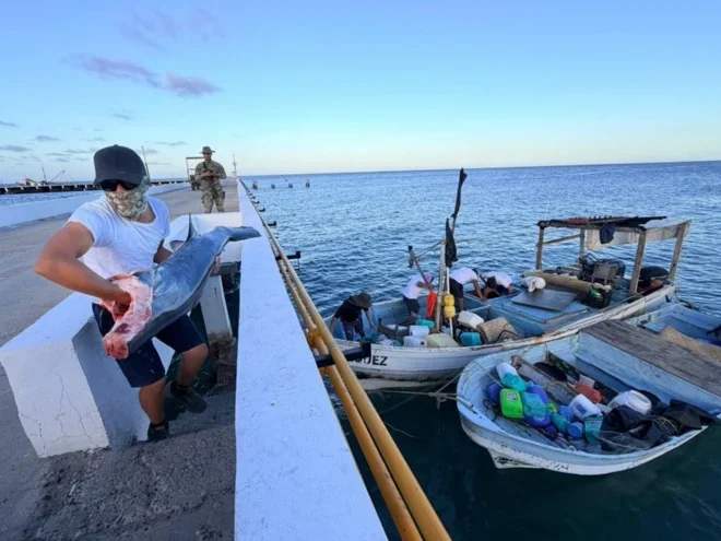 semar_asegura_m-s_de_media_tonelada_de_producto_pesquero_en_islas_mar-as_11_mzo_2026_-5-.jpeg_805442109.jpeg.webp