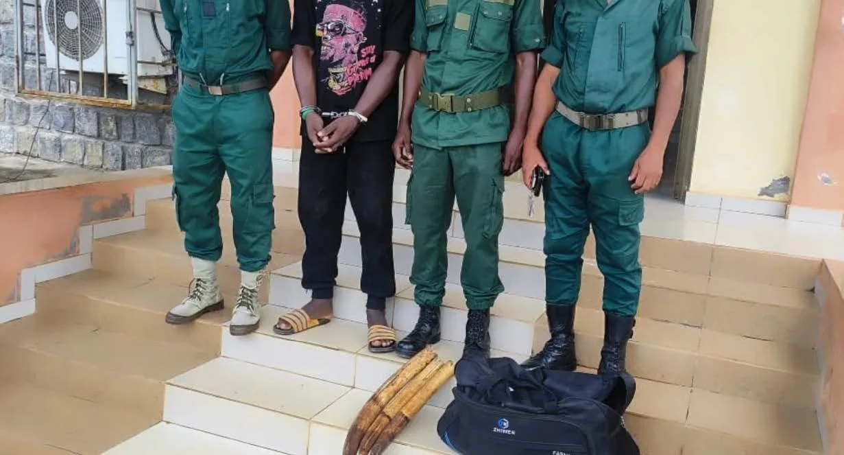 Recent Arrests and Prosecutions in the Fight Against International Wildlife Trafficking in Cameroon and Gabon