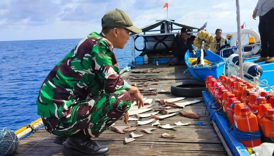 Empty Promises Won’t Save Marine Ecosystems&nbsp;