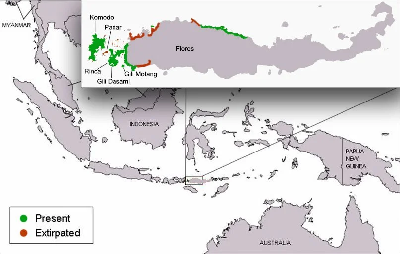 Komodo Dragon Global Conservation