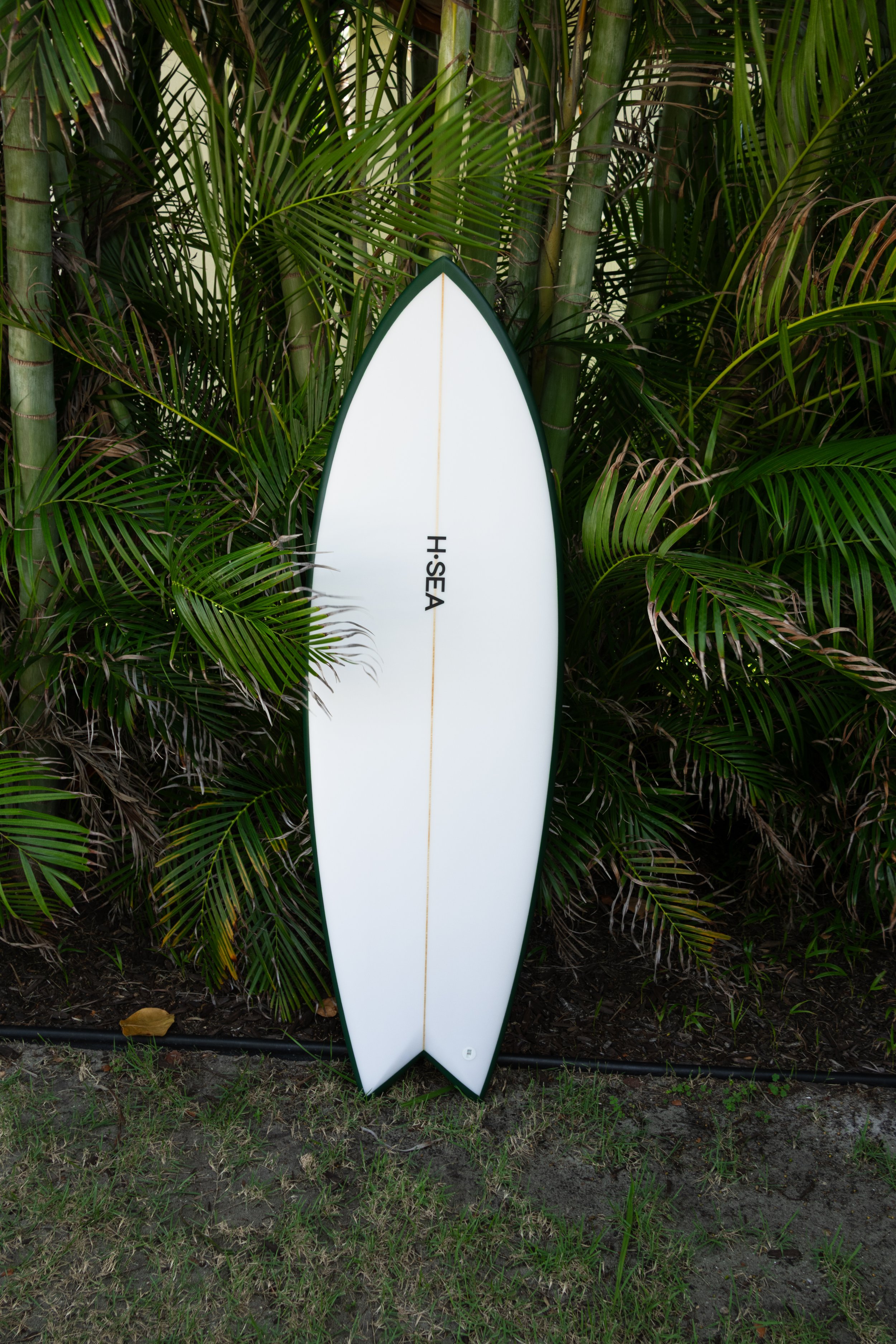5'8 "Hogfish"